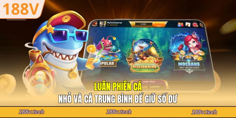 Luân phiên cá nhỏ và cá trung bình để giữ số dư