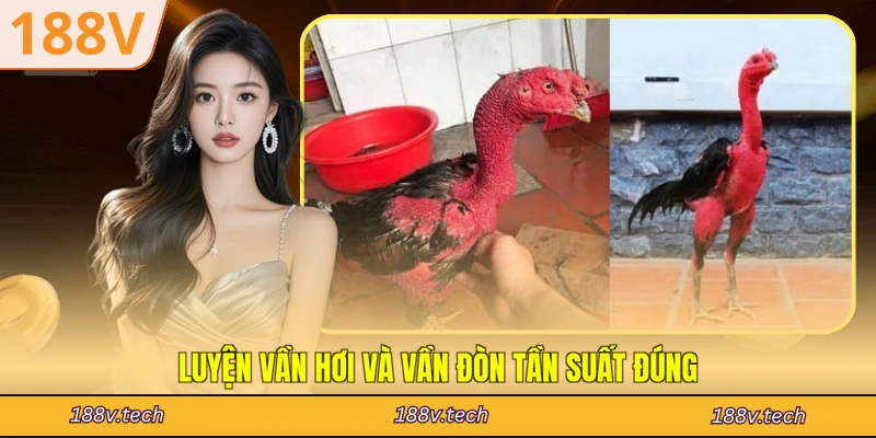 Luyện vần hơi và vần đòn tần suất đúng
